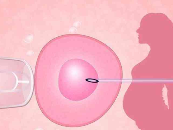 试管移植优质胚胎，为何还会失败？