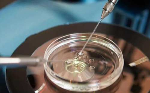 美中宜和妇儿医院借卵试管成功率