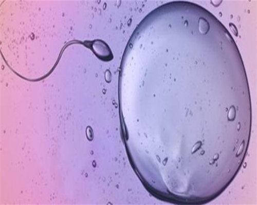 6周孕囊不规则没有卵黄囊但hcg还在涨是空囊吗