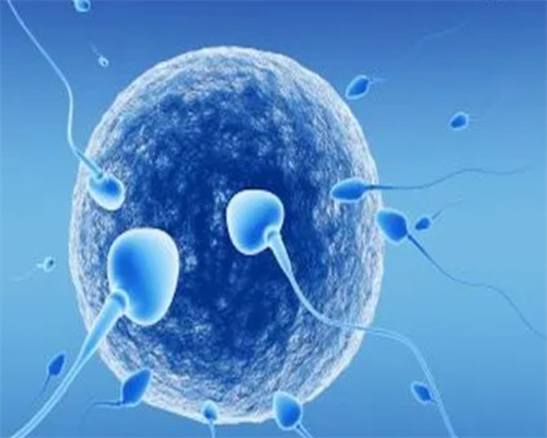 在广州供卵被骗说一下，广州供卵骗局有些什么套路？-98网游龙吟