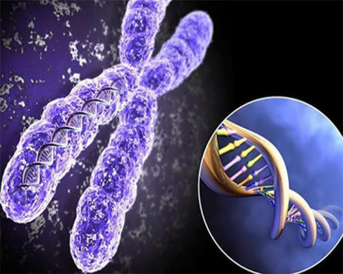 广州做供卵试管,广州供卵被骗后尝试的解决办法_供卵哪家靠谱