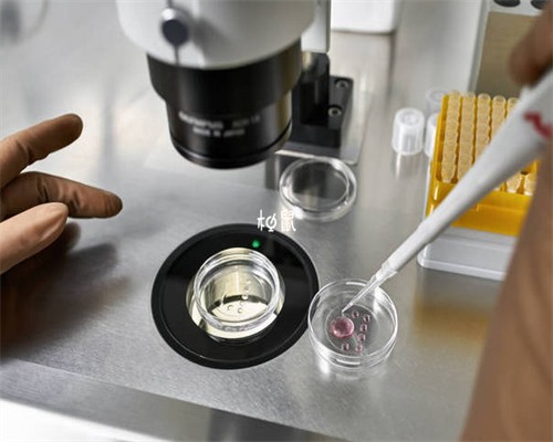 广东广州医院做代怀选男孩+微刺激方案对助孕过程有什么影响