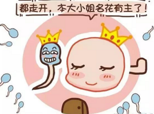 广州代怀宝宝价格,广州供卵中心，广州中六生殖中心医院怎么样