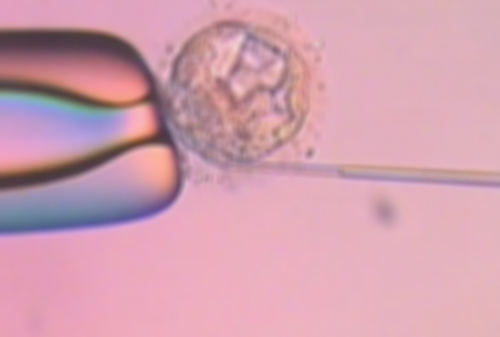 广州代怀中心收费,广州中一试管婴儿,广州重一大药房