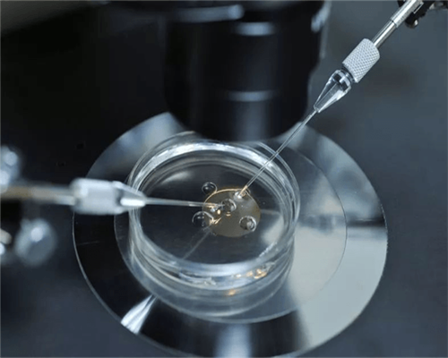 广州供卵试管婴儿哪家好,广州做供卵试管被骗的全过程_gay代孕