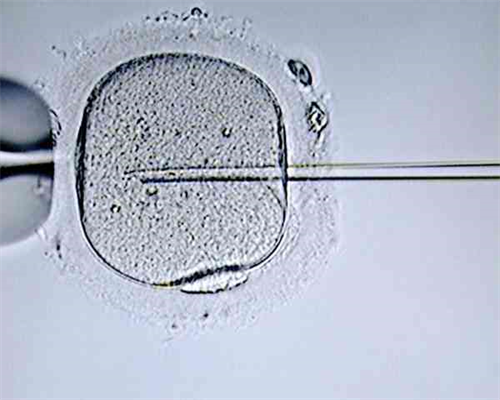 在广州供卵被骗说一下，广州供卵骗局有些什么套路？-可以代生孩子