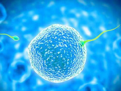 广州试管婴儿哪家最好