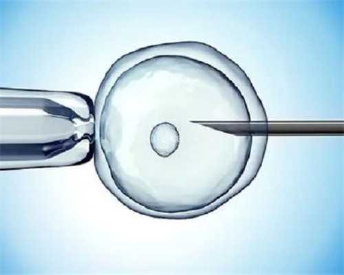 2026
年广州代孕价格 广州三代试管私立医院有哪些? ‘孕囊看男女准的’