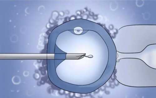 广东广州试管代怀网未受精卵子可以在私立医院保存多久？