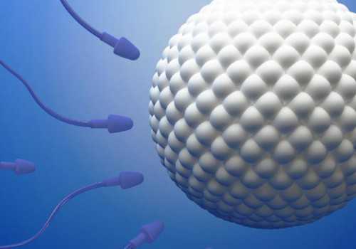 第三代试管婴儿广东广州官网呢