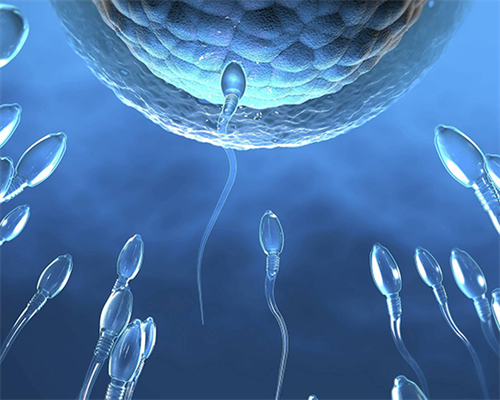 广州代怀代生价格,广州试管婴儿医院