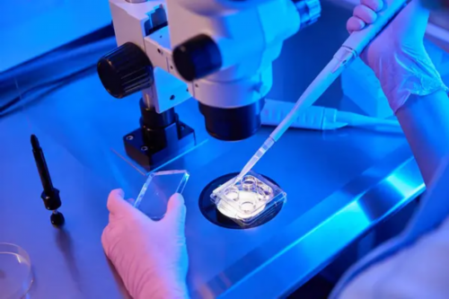 广州代孕包儿子,广州供卵只来坤和助孕,广州试管婴儿选上海坤和