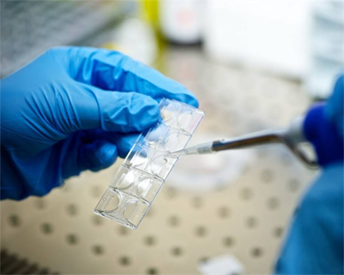 29岁重度宫腔粘连手术后能找人代怀孩子的吗（成功率有多大？）