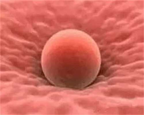 广州供卵机构就选坤和助孕,广州有提供供卵服务的医院-季向阳