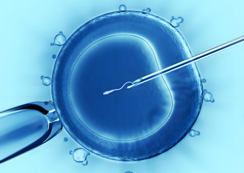 广州供卵医院地址（广州供卵医院知名十月幸孕助孕）_合法代怀公司