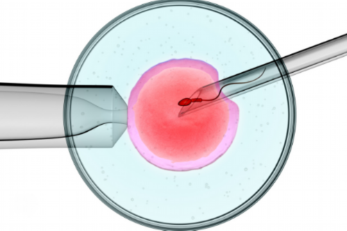 广州有哪些知名助孕中心,广州供卵医院地址（广州供卵医院知名十月幸孕助孕