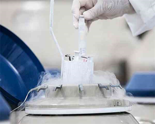 做试管婴儿很遭罪吗