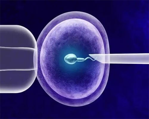 广州供卵试管借腹生子 在广州看不孕不育正规医院 ‘ntb超看男女’