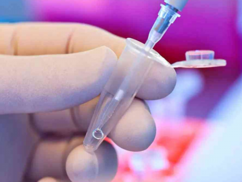 广州代怀网哪个好,试管婴儿的成功率有多高 试管婴儿移植后孕酮低会影响着床