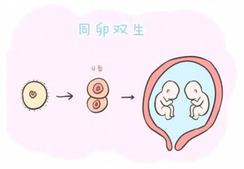 广州卵子库供卵费用清单?,广州金贝供卵医院简介-借卵自怀价格