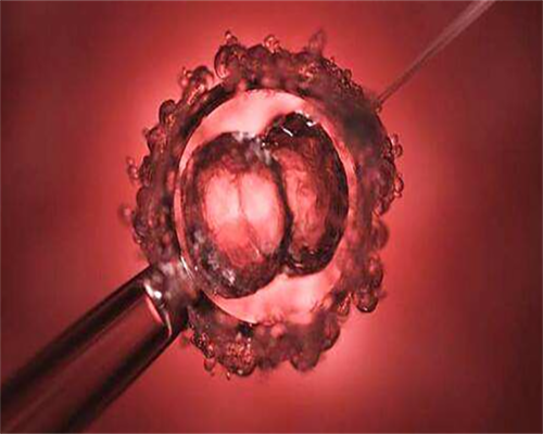 广州金贝供卵医院官网,广州供卵首来十月幸孕助孕_代怀孕网