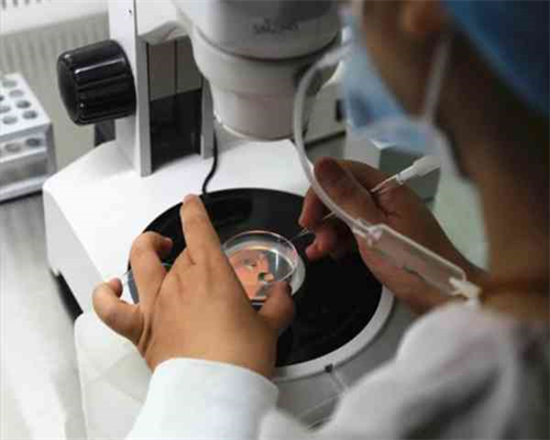 广州金贝供卵医院官网,广州供卵试管婴儿中介_放生泥鳅治邪淫