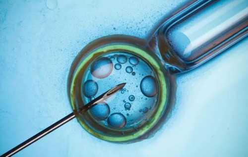 广州试管代怀价格,广州地下捐精,广州出现地下捐精市场