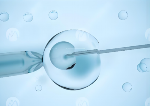 50岁绝经了还能供卵自怀套餐吗高龄试管风险