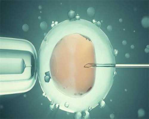 广州公立代生机构,【北京供卵的医院、泰国供卵医院、广州供卵试管成功率】