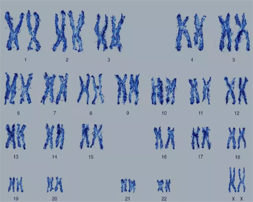 广州试管代怀妈妈,兰州助孕试管婴儿这5类人重点检查项目，快看看有没_试管婴