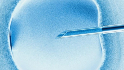 2026广州试管成功率高的医院排名（内附助孕供卵费用详情参考）