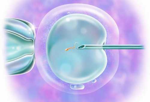 广州供卵正规中心,北京供卵捐卵试管咨询降调和直接促的区别成功率高吗_试管