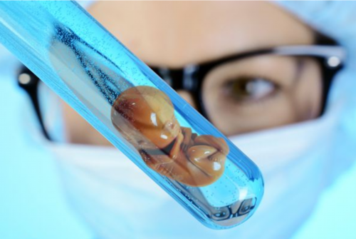 广州知名代怀零首付 广州进行供卵试管不能报销 ‘男孩女孩四维’