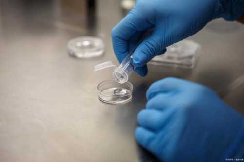 广州代怀在线咨询,广州做试管郭仲杰怎么样_广州保胎很出名的医生