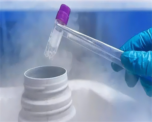 在广州供卵被骗说一下，广州供卵骗局有些什么套路？-三代供卵中心