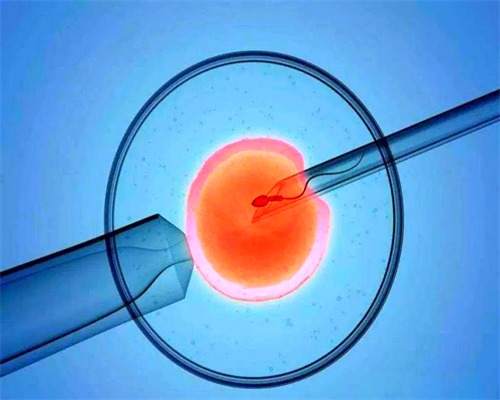 广州广州代怀中心包生男孩费用大概多少