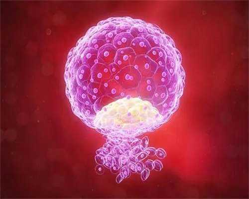 广州试管代生是合法 广州试管婴儿费用多少 ‘四维单子脊柱看男女’