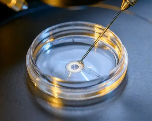 广州哪里借卵靠谱,试管婴儿做了两次都没有成功怎么办？-广州医院违规做试管