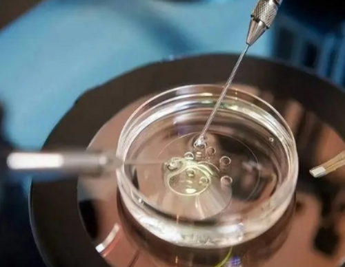 广州试管代生联系中介 广州哪里可以冷冻卵子 ‘英国nt看男女’