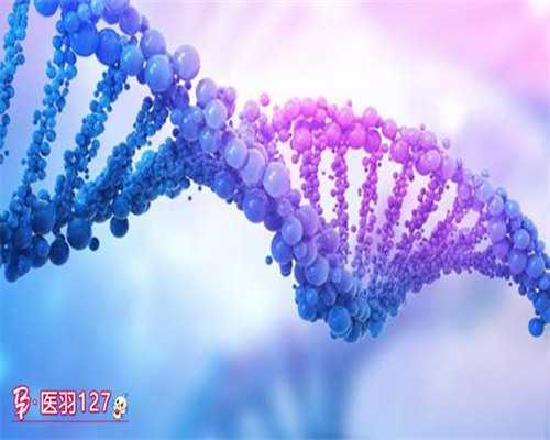 气血不足会影响哪里可以代怀孩子成功率吗