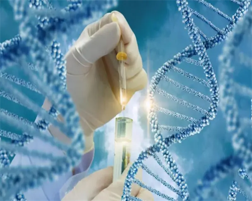 卵巢早衰来月经了就是好了吗