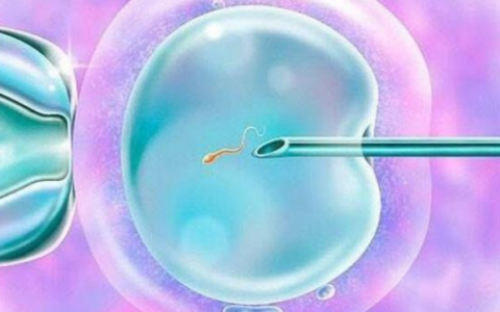 广州三代试管包成功生男孩总费用多少？,广州供卵包成功-长期债务