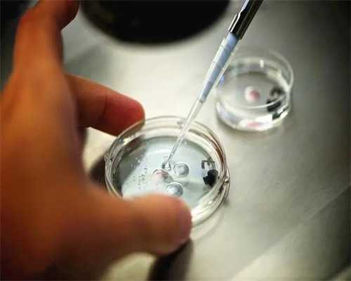 广州想找代怀公司,广州供卵指定传承生殖,广州供卵优选传承生殖