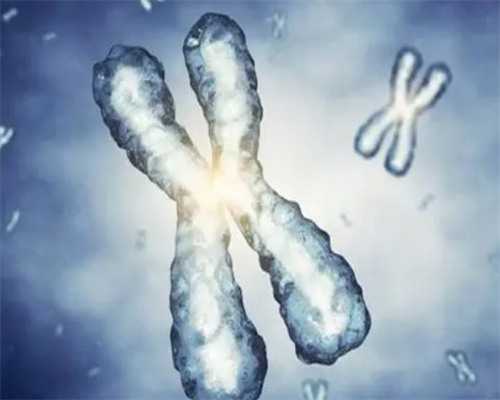 广州做供卵试管被骗的全过程,广州有多少家供卵机构-怎么代生