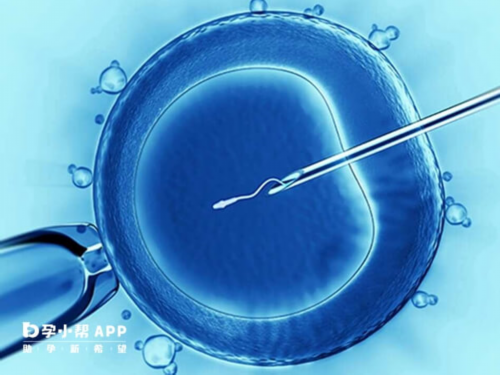 广州供卵医院地址（广州供卵医院知名十月幸孕助孕）-正规代生网