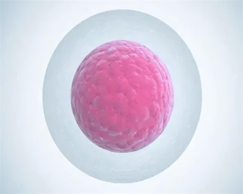 广州试管助孕指南：家族遗传病做试管可以避开吗？