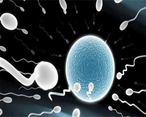 广州试管最好供卵医院（广州供卵生殖中心地址）-北京放生组织2026
