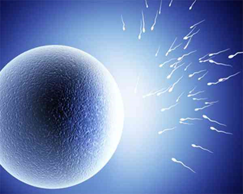 关于供卵的法律法规有谁知道的吗