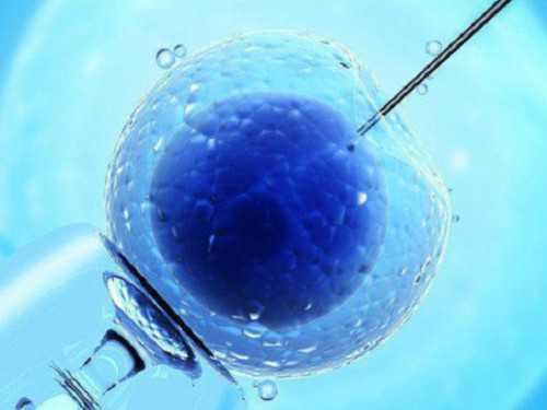 广州中山六院供卵试管费用明细，广州私立供卵生殖医院名单