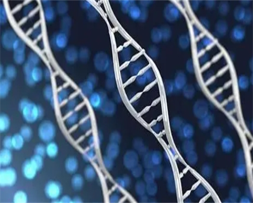 广州供卵医院地址（广州供卵医院知名十月幸孕助孕）-品牌代怀网